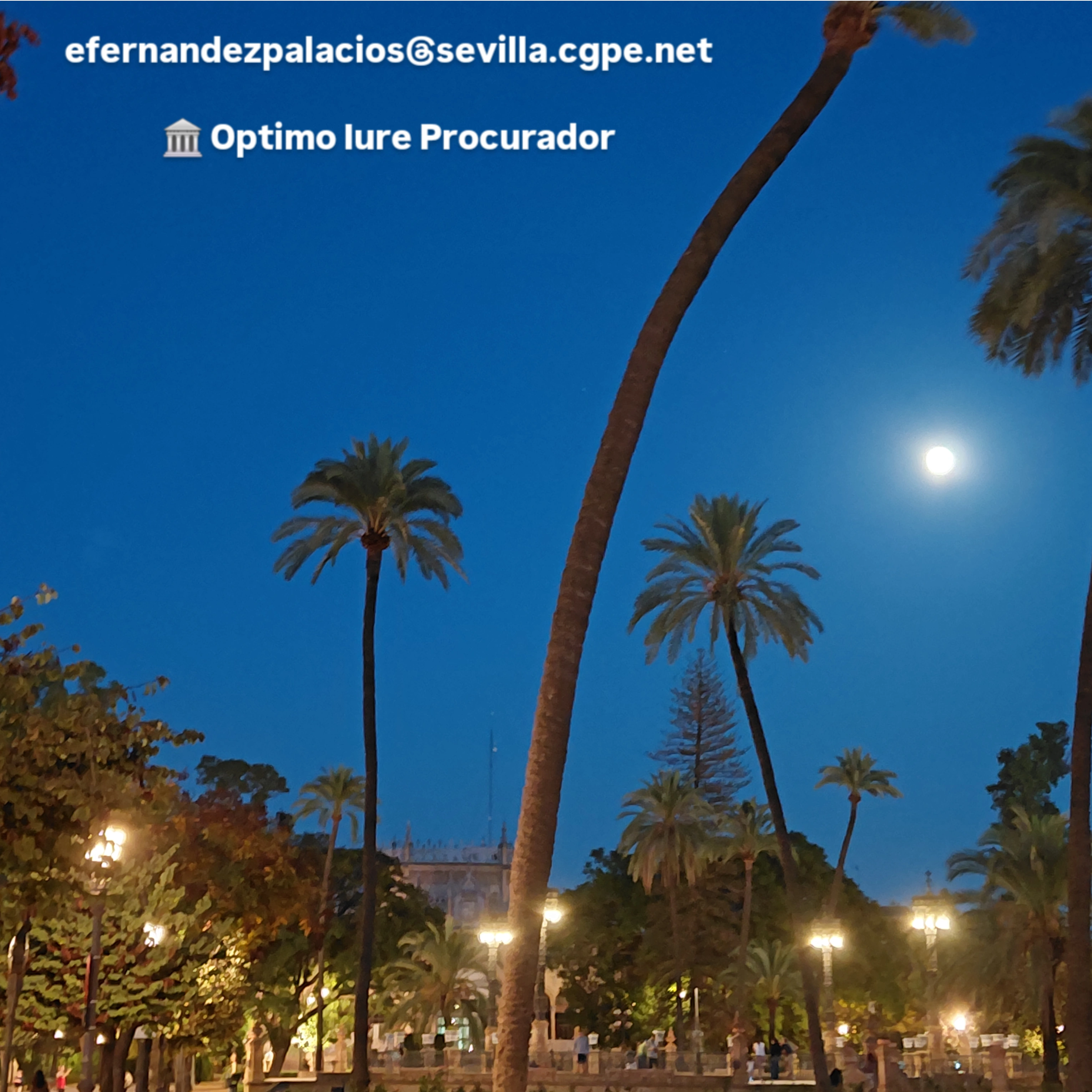 Justicia y representación procesal